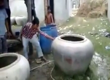 Cambodian Boys Broke The Jar To Rescue A Cow 