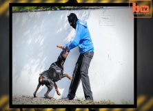 Protection Canines Worth $40,000