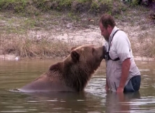 Fearless Bond: Johnny Welde's Unique Relationship With Grizzly Bears