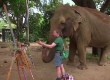 Trish The Painting Elephant Amazes Visitors At Perth Zoo