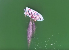 Lucky Tourists Meet The Grey Whales 