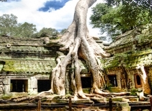 Ta Prohm Temple: A State Of Beauty In A Power Of Trees